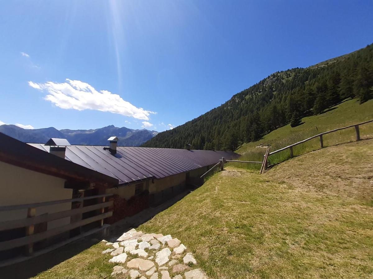 Restor Natura Malga Mondent Pensión