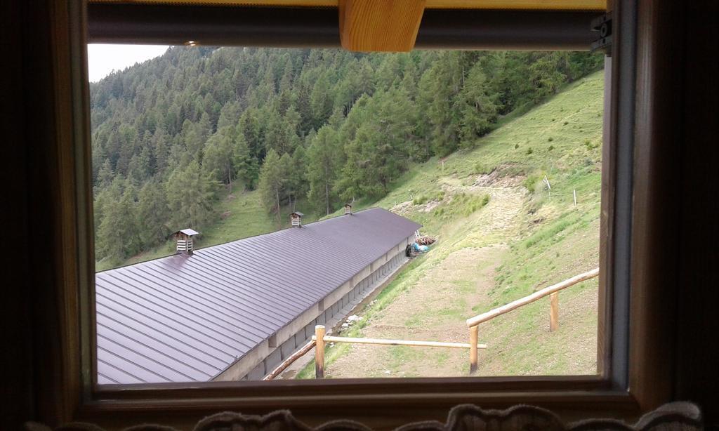 Restor Natura Malga Mondent Pensión *