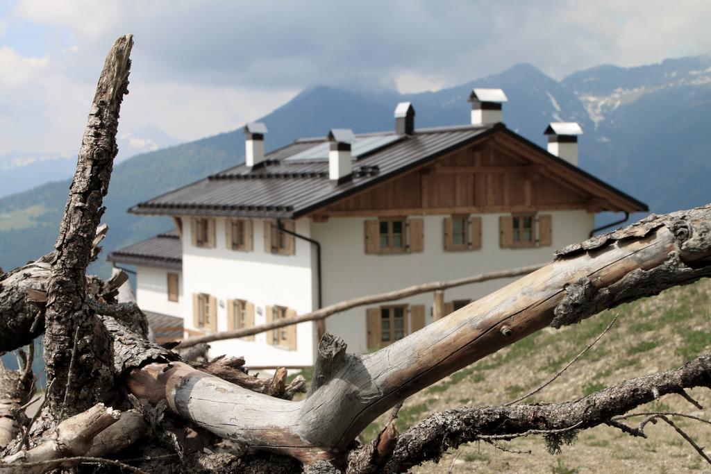 Restor Natura Malga Mondent