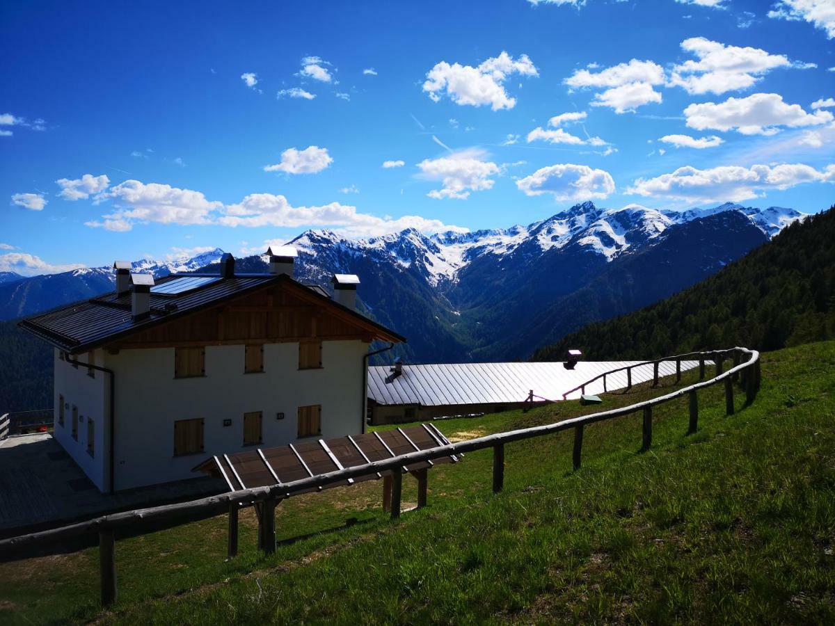 Restor Natura Malga Mondent Pracorno di Rabbi
