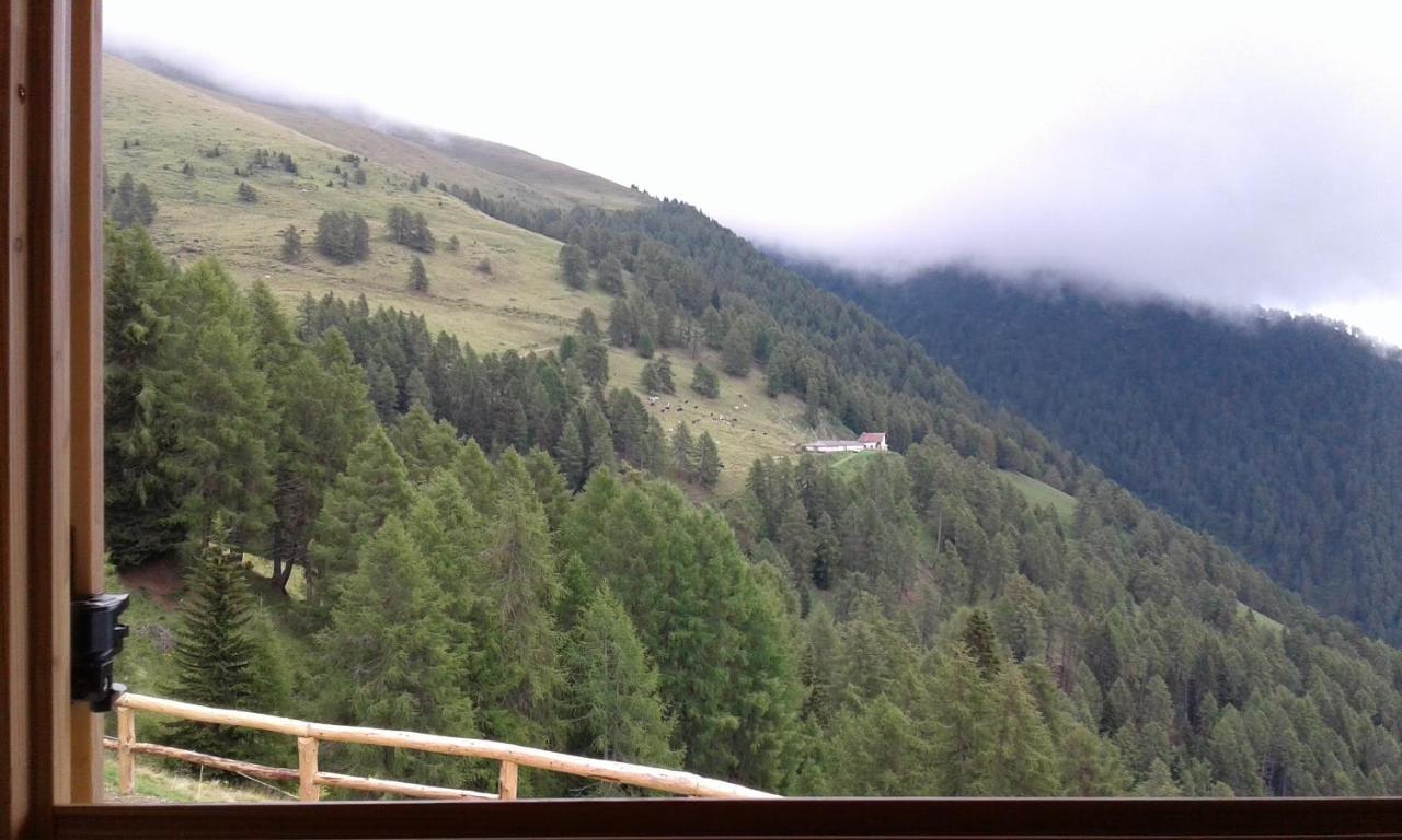 Restor Natura Malga Mondent *